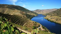 Private Douro Valley visit to three vineyards with Lunch from Porto