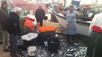 Private Fish Experience with Market-to-table lunch from Porto