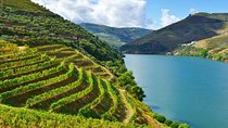 Douro Valley Wine Private Tour with Wine Tasting from Porto