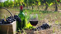 Private Wine Tour to Kakheti from Tbilisi