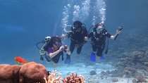 Daily 2 Dives with Equipment from Hurghada