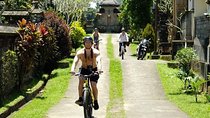 Best Taro - Ubud Bali Bicycle Tours