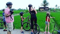Full Day - Ubud Cycling & White Water Rafting with Complementary Lunch