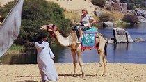 4 Hours Private Safari by Camel, Aswan 