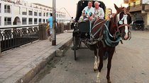 City tour by horse carriage.aswan