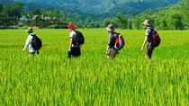 Mai Chau to Pu Luong 3-Day Tour from Hanoi