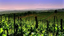 Private 8h Tour to winery in Franciacorta and Bergamo from Milan
