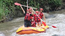 Adventure Rafting Journey With Us! And Ubud Tours 