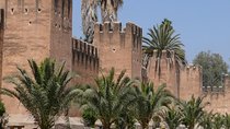 Ali Baba Oasis And The Old Medina Of Taroudant Private Day Tour 