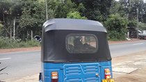 Private Tuk Tuk Colombo City Tours