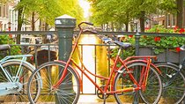 Amsterdam City Center Guided Walking Tour Semi-Private 12ppl Max