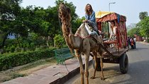 1Night & 2Days Agra & Jaipur Transportation with local guiding experience