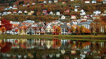 Bergen Private Walking Tour with a Local