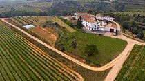 Viticulture and Wine-Tasting 3-Hour Trip from Barcelona