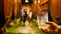 "Basque Cider House" guided tour + meal from San Sebastian