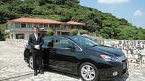 Explore Okinawa with Private Sedan Car Hire Driver