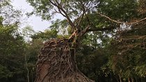 Phnom Penh to Siem Reap with Homestay at Sambor Preikuk or Vice Versa
