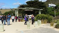 Full-Day Great Ocean Road Tour from Melbourne