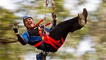 12 Apostles and Otway Fly Zipline Day Trip from Melbourne