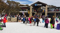 Mt Buller Day Trip from Melbourne