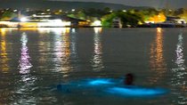 Luminous Lagoon Sightseeing Tour in Montego Bay