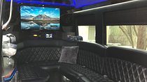 Party Bus - Sprinter Limo Rental