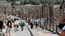 Vesuvius Pompeii Sorrento Tour