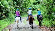 Horseback Ride to La Fortuna Waterfall