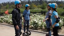 Segway Tour Parks and Architecture Kid Friendly Small group