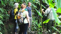 Full Day to Selvatura Monteverde Cloud Forest from Guanacaste