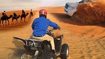 Quad Bike Ride with Evening Safari Dubai