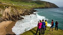 4-Day South West Ireland Tour from Dublin