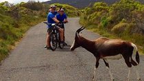 Private Cycling Tour to Cape Point from Cape Town