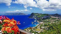 Small Group: Capri & Anacapri - Guided Tour