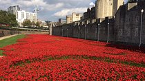 Tower of London Private Guided Tour