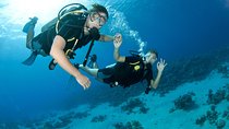From Dubai: Discovery Scuba Diving & Snorkeling trip in Fujairah