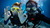 Discover Scuba Diving in Dubai