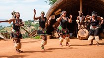 Phezulu Cultural Village & Reptile Park Day Tour from Durban