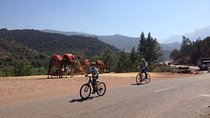 Beginners On-Road Bike Tour of the Atlas Mountains from Marrakech