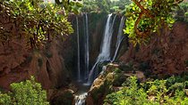Marrakech: Ouzoud Waterfalls Guided Day Trip with Boat Ride