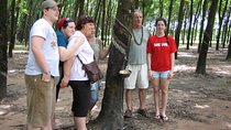 Cu Chi Tunnels half day private tour from Ho Chi Minh City