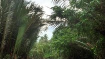 Mekong Delta in Ben Tre private tour full day