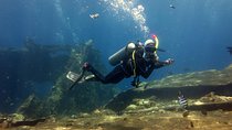 Try Scuba Diving at Tulamben Shipwreck