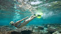 Snorkeling Package at Padang Bai Blue Lagoon