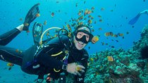 Maui Scuba Diving Introductory Lesson from Lahaina