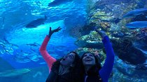 Antalya: Aquarium, Wax Museum, Snow World, Wild Park, XD Cinema