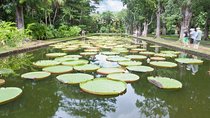 Private North Day Tour: Botanical Garden, Sugar Museum, Rum Tasting, Port Louis