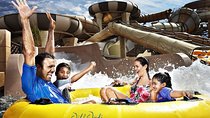 Wild Wadi Adventure Waterpark Tickets With Transfers Option 