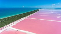 Pink Waters of Las Coloradas, Pink Flamingos and Colonial City of Valladolid with Photographer