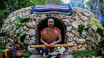 Private or Shared Mayan Temazcal Ritual from Tulum